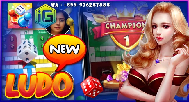 Judi Ludo Online APK